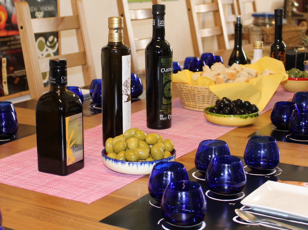 Olive Oil Tour-格拉纳达必去景点