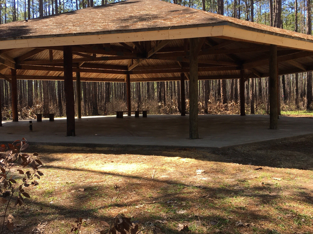 Cary State Forest-Bryceville必去景点