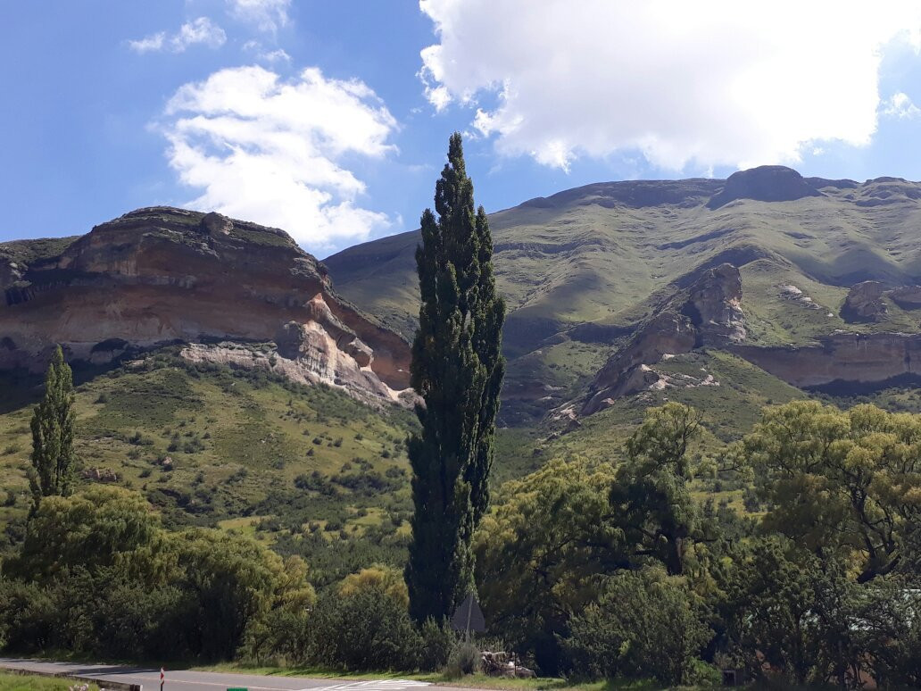 null-哈利史密斯