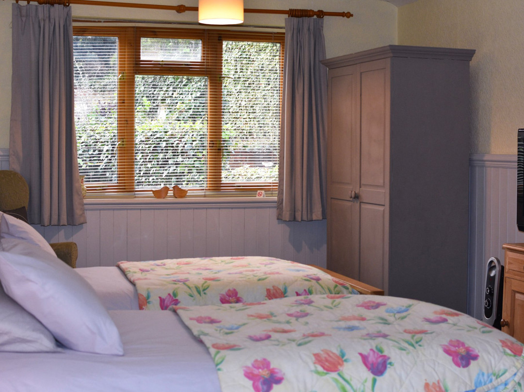 The Traveller's B&b主图