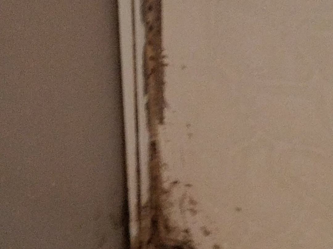 奥克兰机场汽车旅馆主图