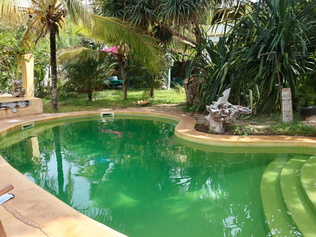 Banana House & Wellness Centre主图