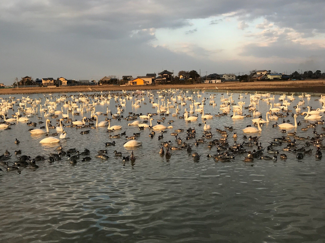 Hakuchonosato-印西市必去景点