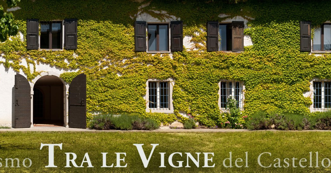 Agriturismo Tra Le Vigne主图