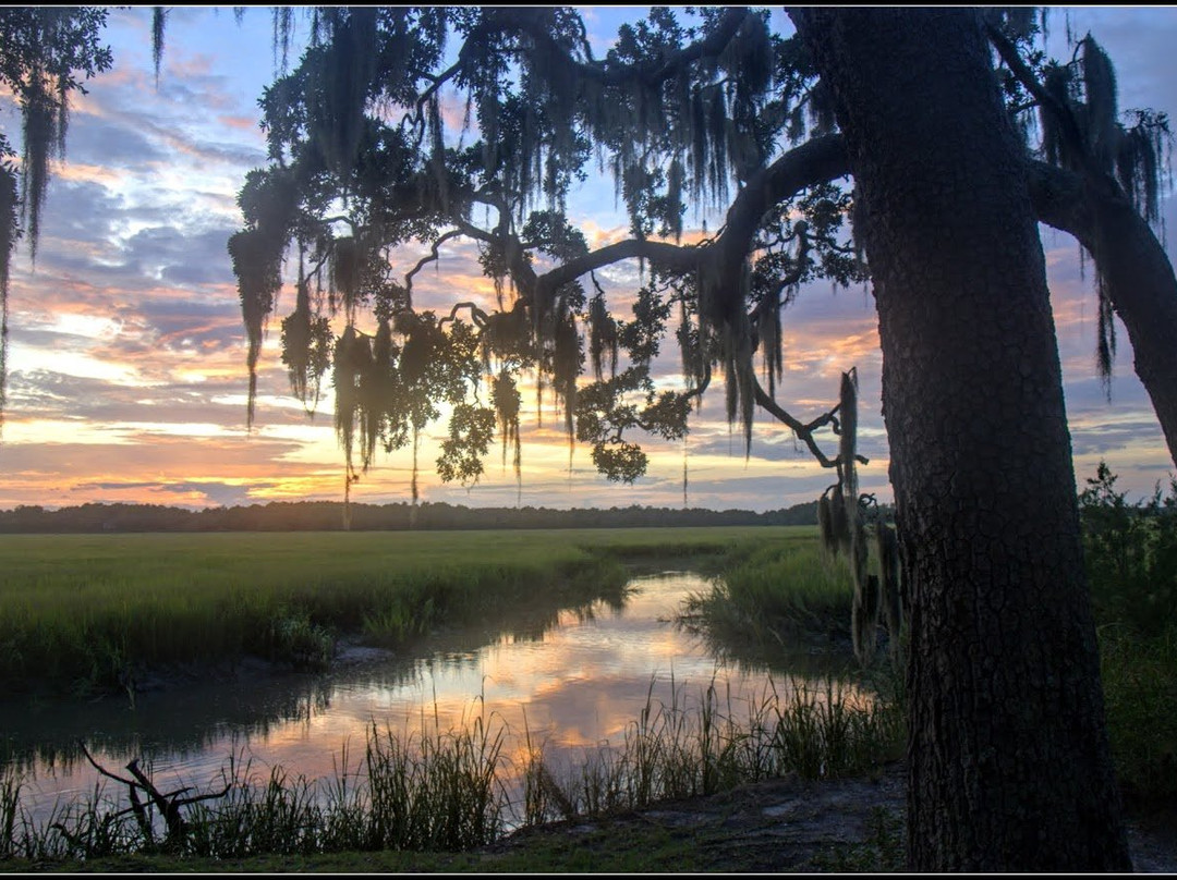 Sapelo Hammock Golf Club景点图片