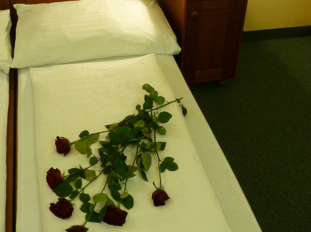 Hotel Korunni Princ主图