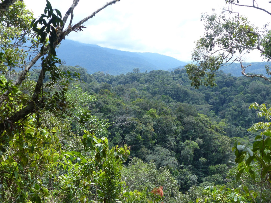 ARA Adventure River Amazonas-Tena必去景点