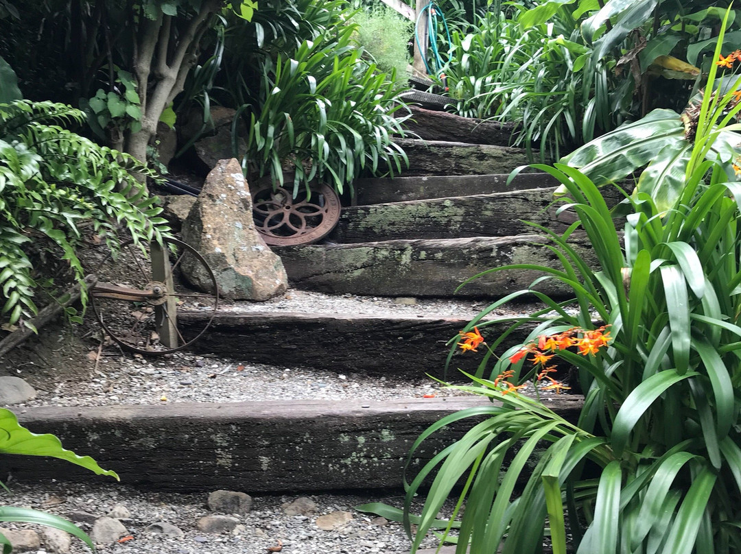 Cable Bay Lodge-Treehouse Waterfront Hideaway主图