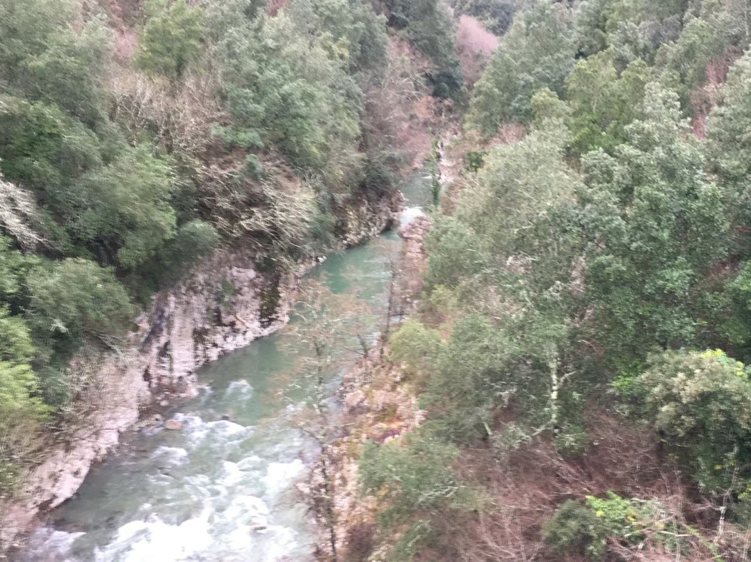 B&B La Sorgente Felitto主图