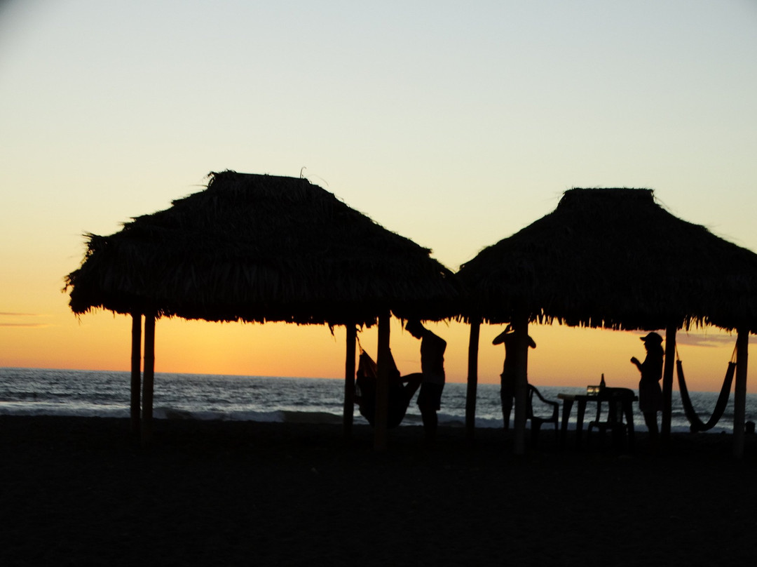 Wipeout Cabana Restaurant主图