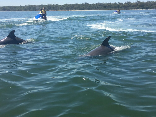 Stag Watersports-曼杜拉必去景点