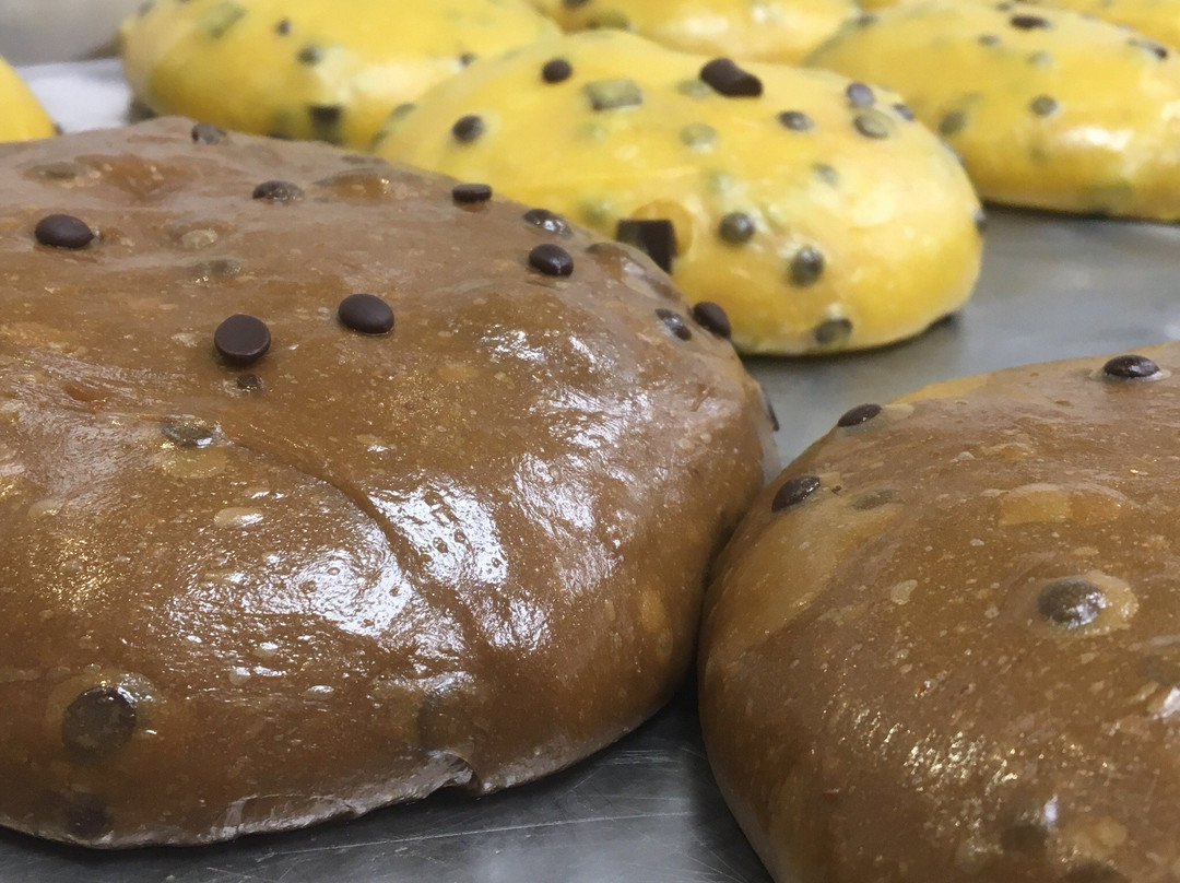 Pasticceria Tóla Dólza