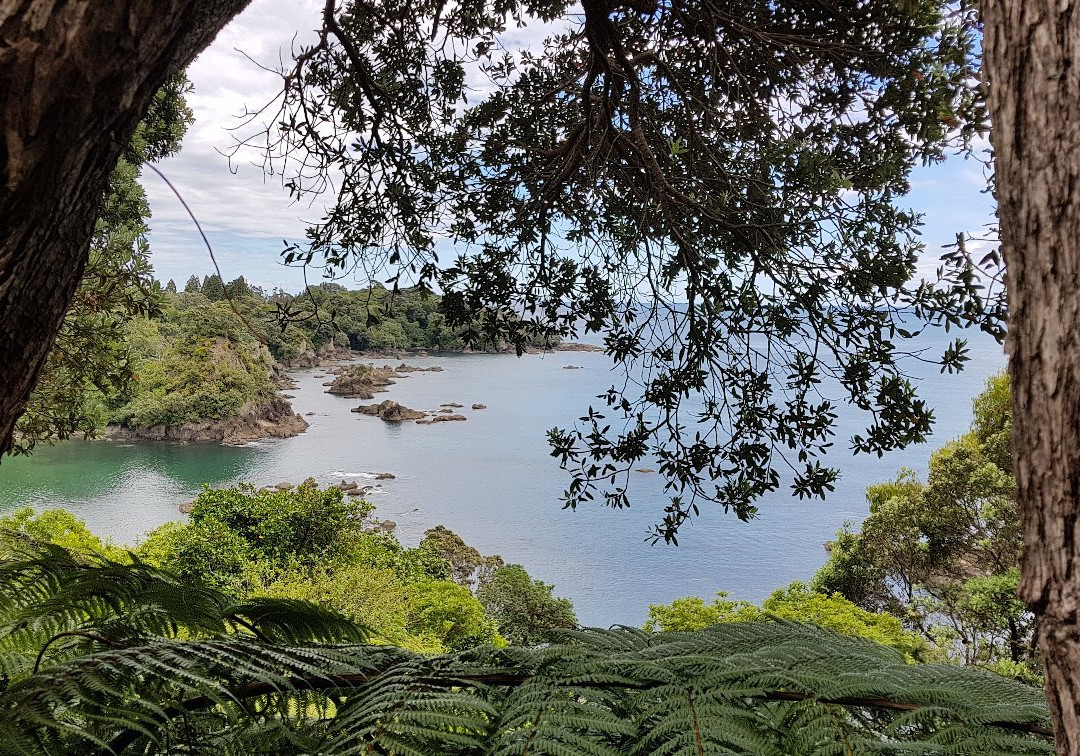 Pacific Coast Macadamias景点图片