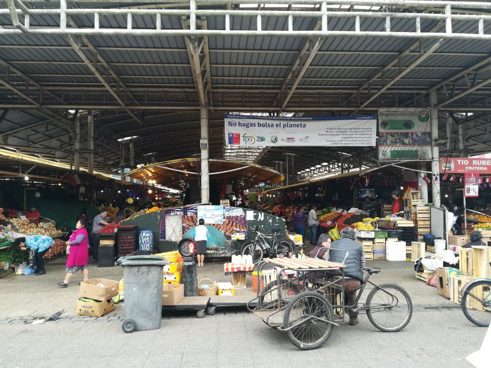 Feria Pinto-特木科必去景点