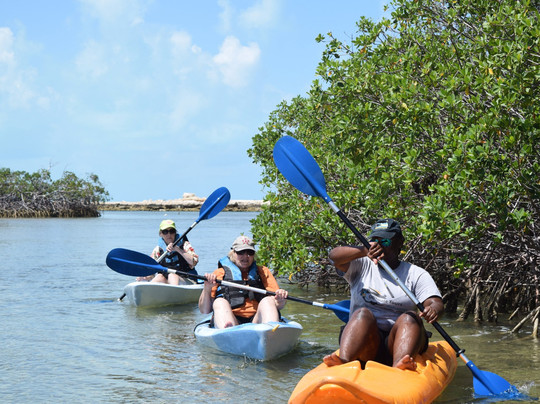 Ultimate Tours Bahamas-拿骚必去景点