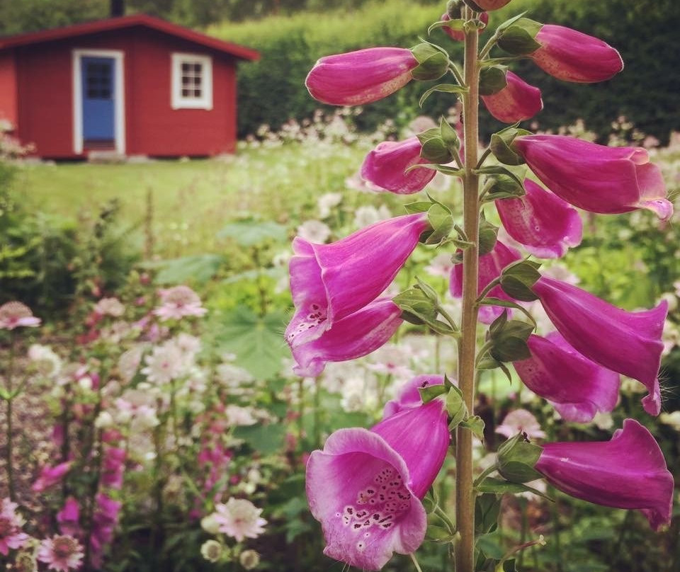 BikeinBergslagen-Nora必去景点