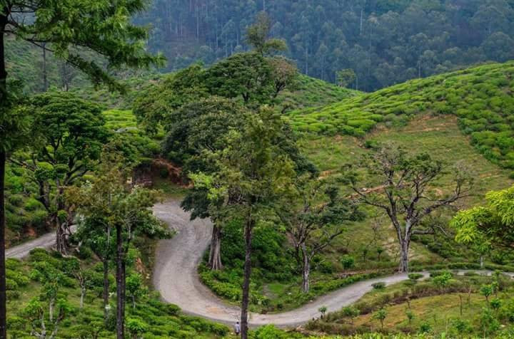 Fox Hill-Badulla必去景点