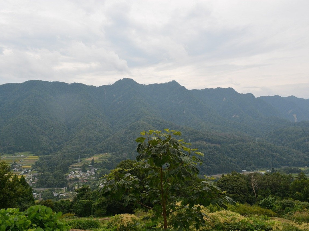 Ikusaka Takatsuya Forest Park景点图片