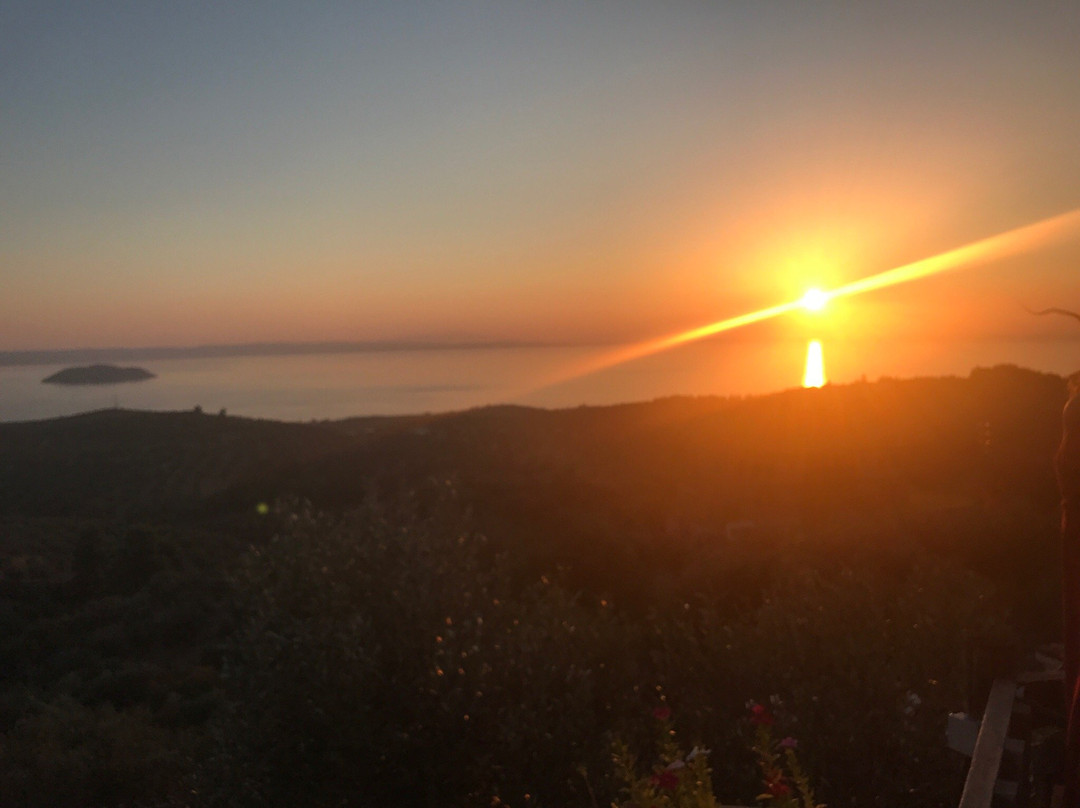 Parthenonas餐馆和美食-Parthenopoli Cafe Pizza