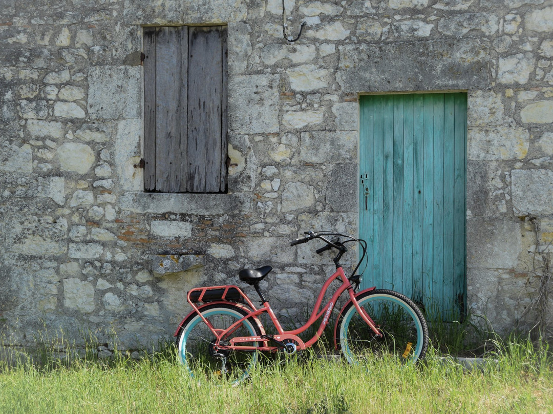 GoodTurn Cycles景点图片