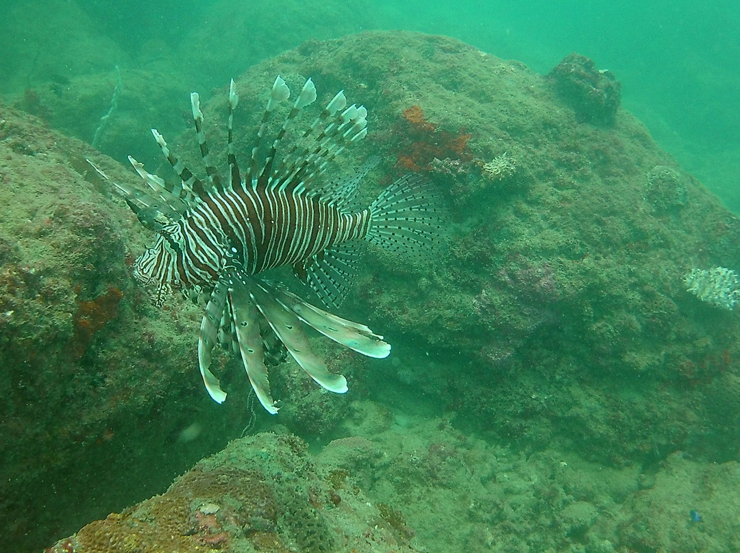 AquaCreed Scuba Dive Centre-尼拉瓦利必去景点