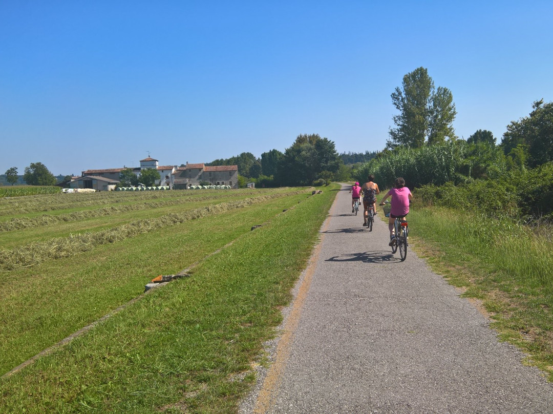 Pedalando Vai - Bike Rentals-明乔河畔瓦莱焦必去景点