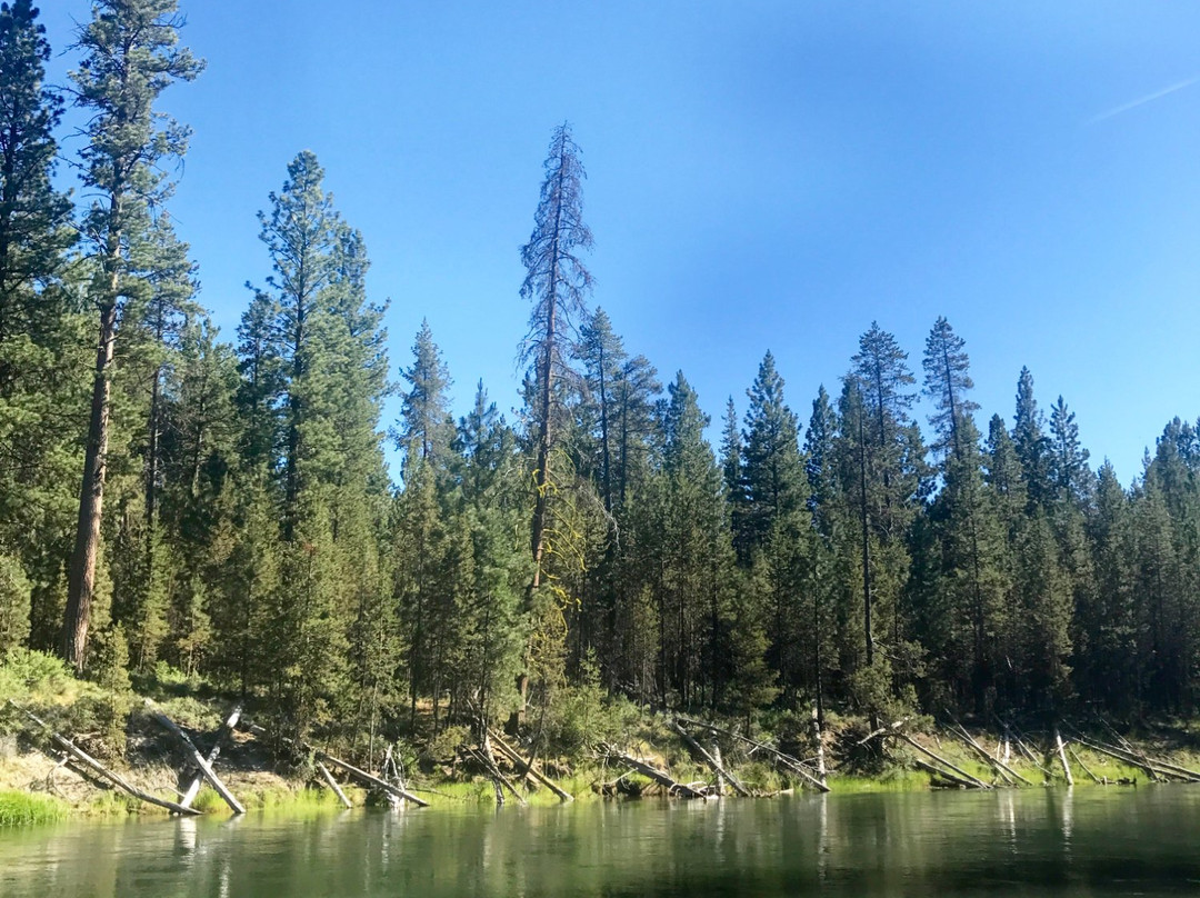 La Pine State Park Campground