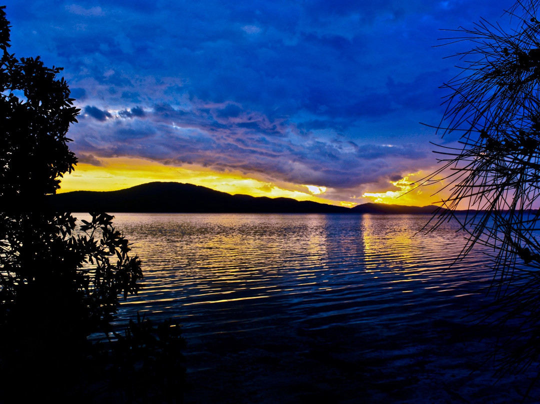 The Green Cathedral-Elizabeth Beach必去景点