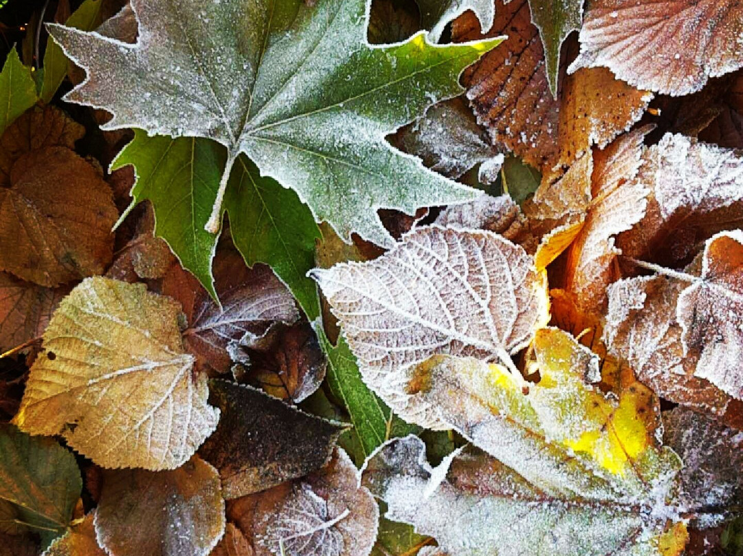 Brooke Park-德里必去景点