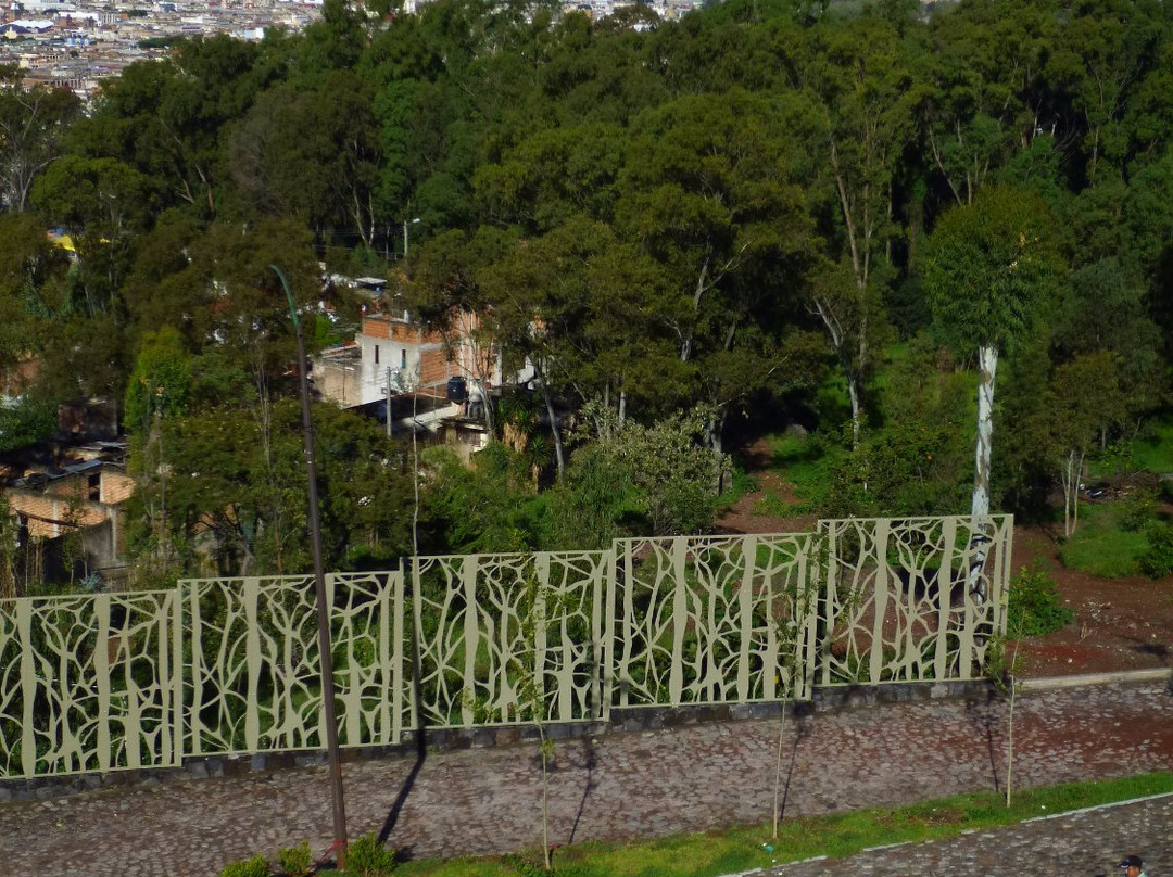 Museo Fuerte de Guadalupe景点图片