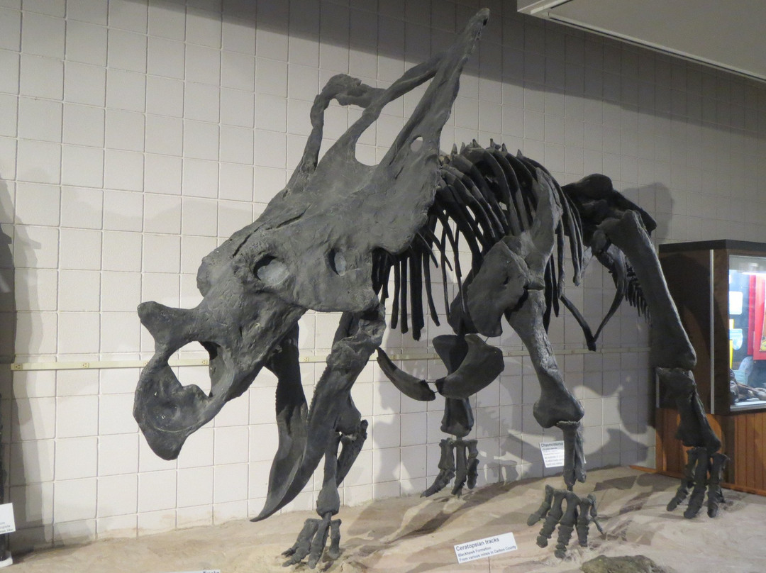 Utah State University Eastern Prehistoric Museum-普赖斯必去景点