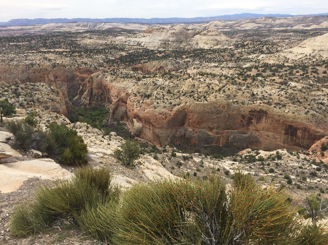 The Hogback-Boulder必去景点
