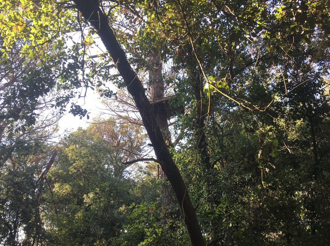 El Bosc Vertical景点图片