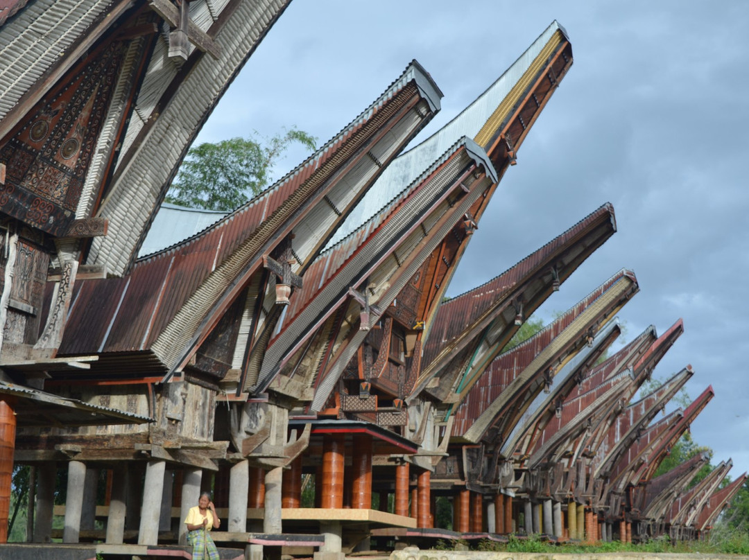 Celebes Trekking景点图片