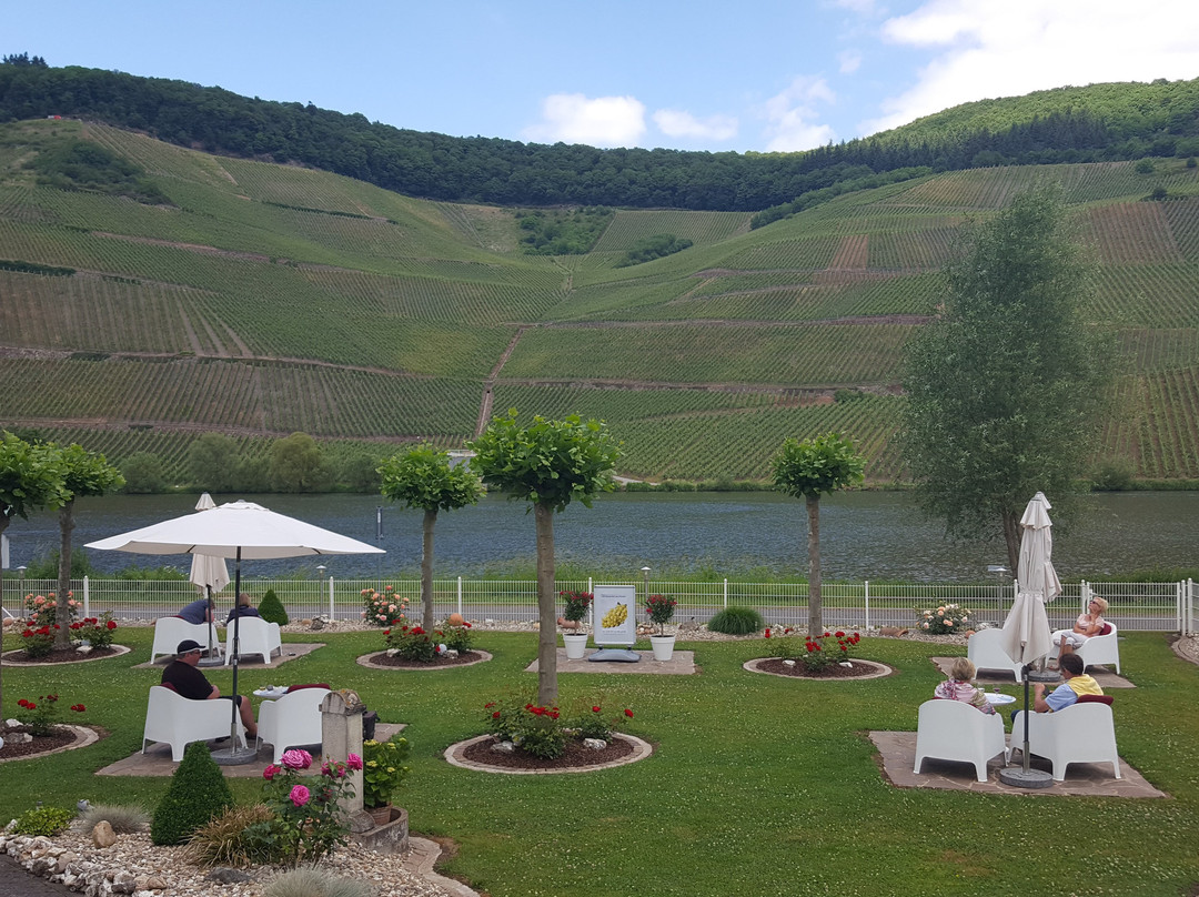 Weingut Karthaeuserhof主图