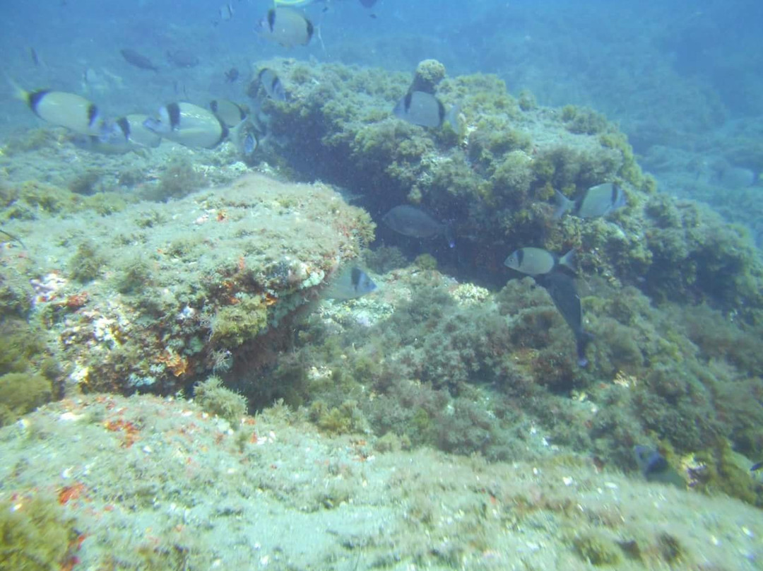 Buceo Almeria-阿尔梅里亚省必去景点