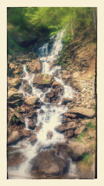 Carpathian Biosphere Reserve景点图片