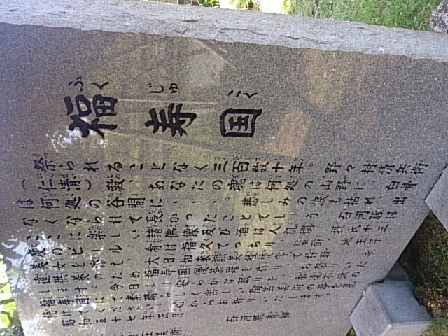 Ippuku Museum of Art-朝日町必去景点