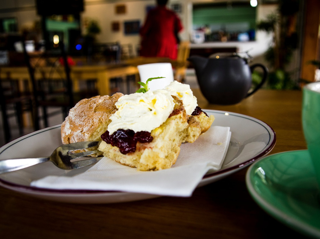 Daintree Village Hotel-Daintree必去景点