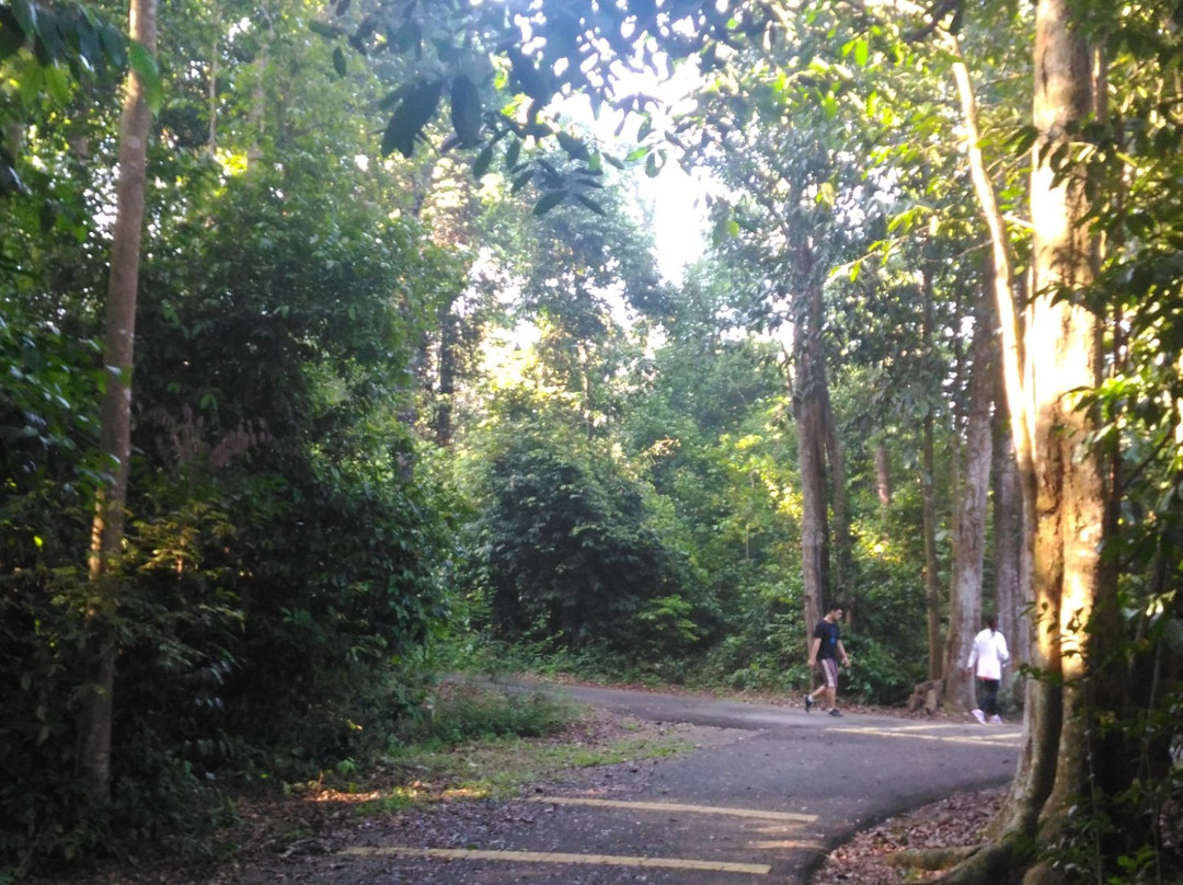 Melaka Botanikal Garden景点图片