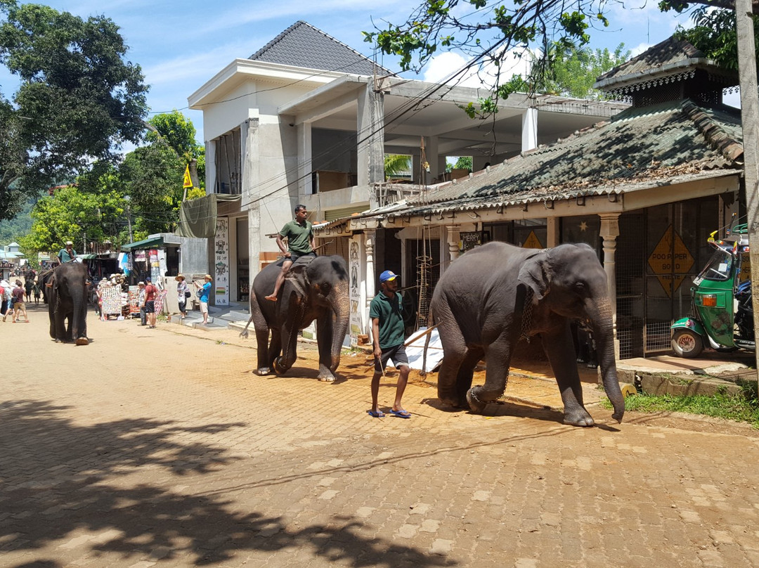 Luv SL-品纳维拉必去景点