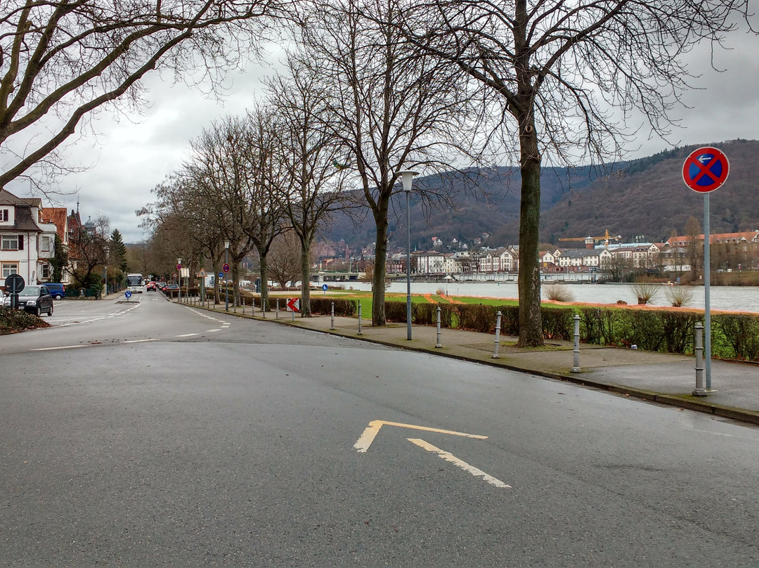 Neckarwiese Heidelberg-海德尔堡必去景点