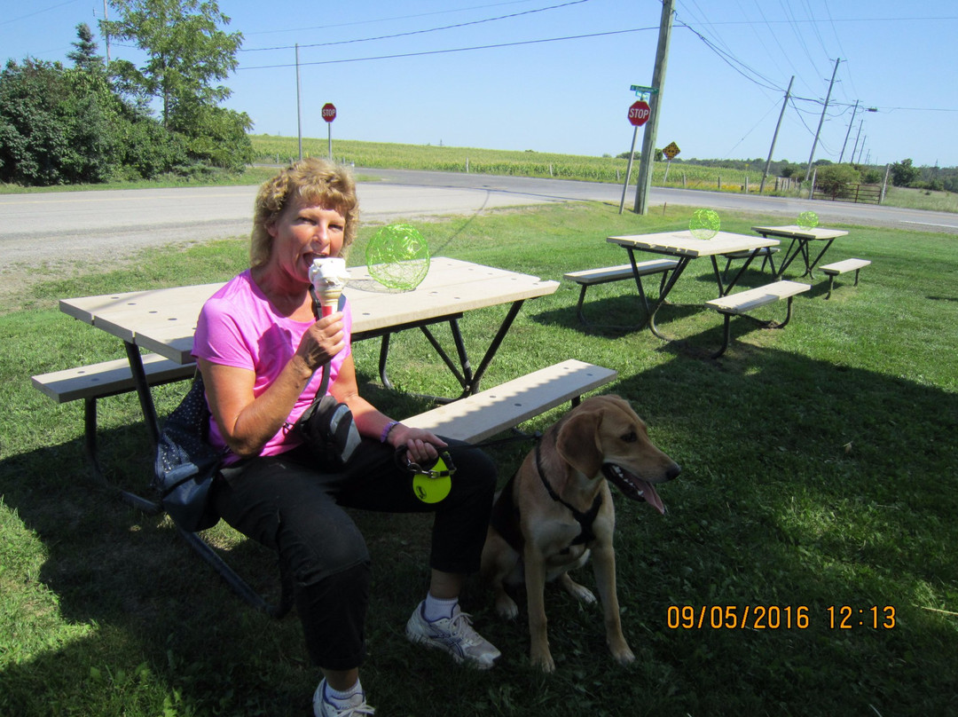 Dyment's Farm-邓达斯必去景点