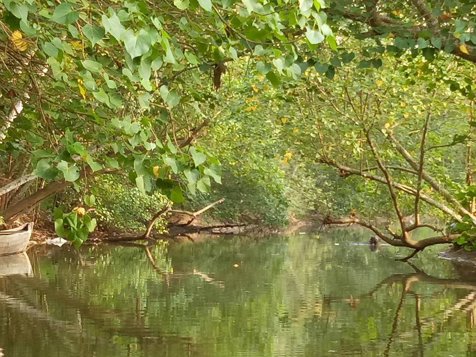 River Islands景点图片