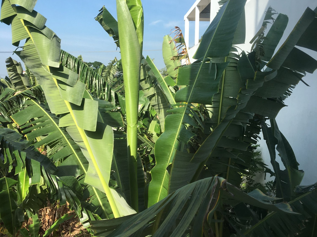 Truc Quynh 2 Hotel主图