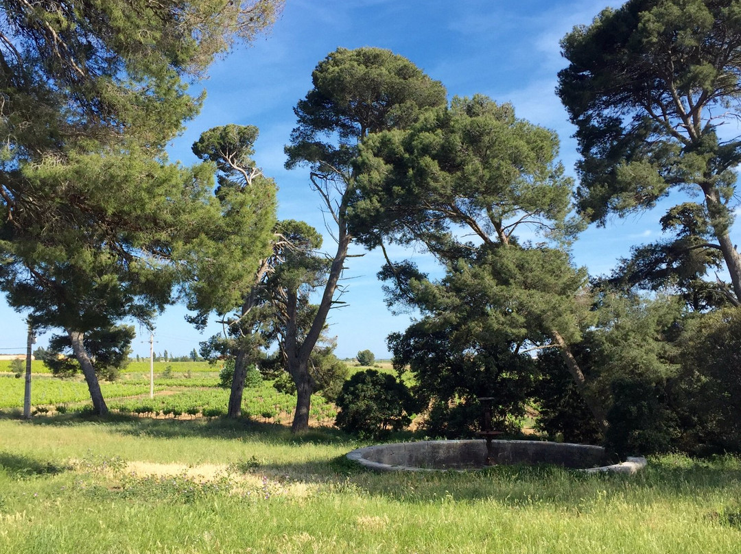 Domaine Les Yeuses-Meze必去景点