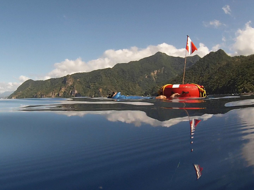 Jeff's Water Sports & Healing-Scotts Head必去景点