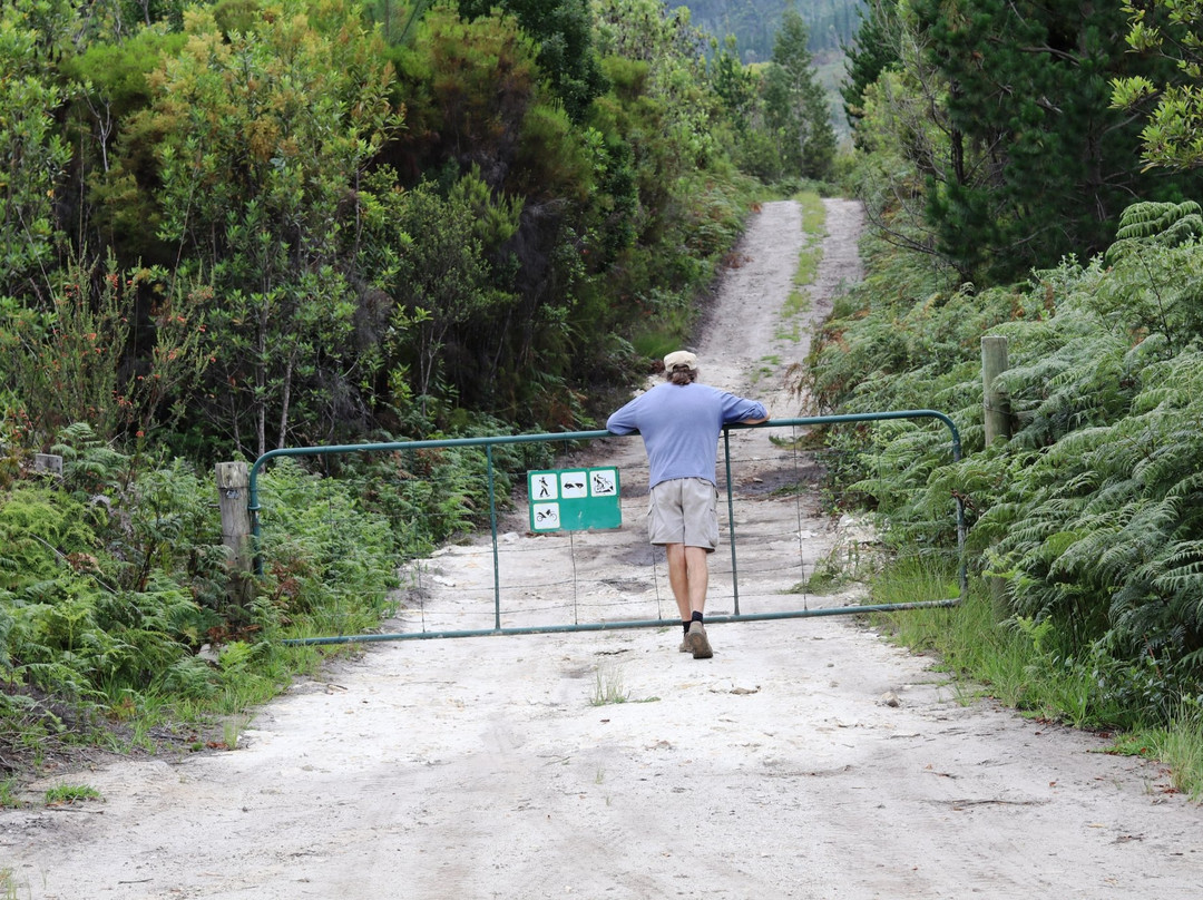 Elephant Walk-克尼斯纳必去景点