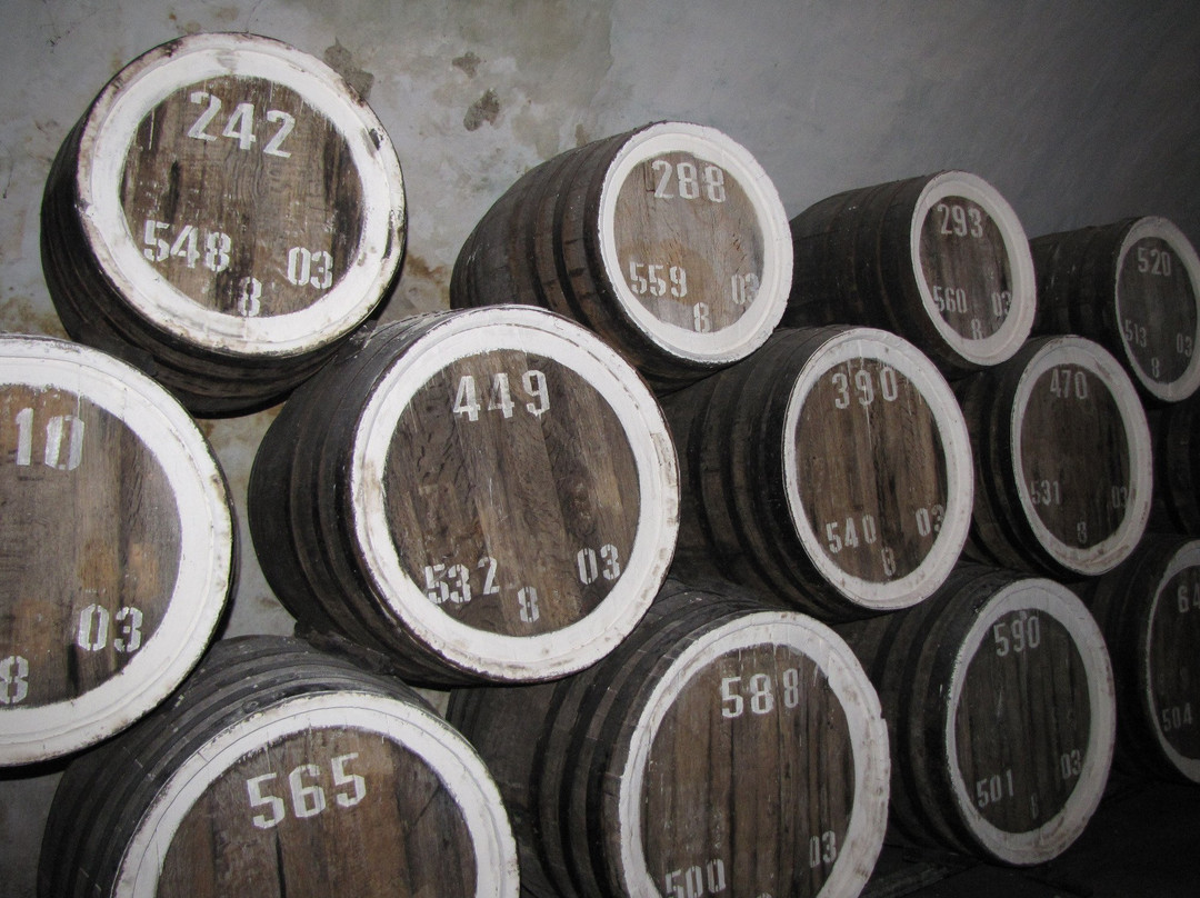 Tasting Room of Winery Sudak-苏达克必去景点