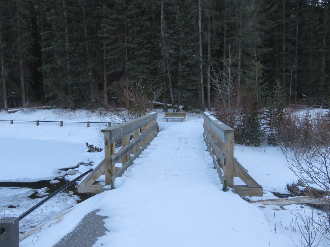 Mt. Lorette Ponds-Peter Lougheed Provincial Park必去景点